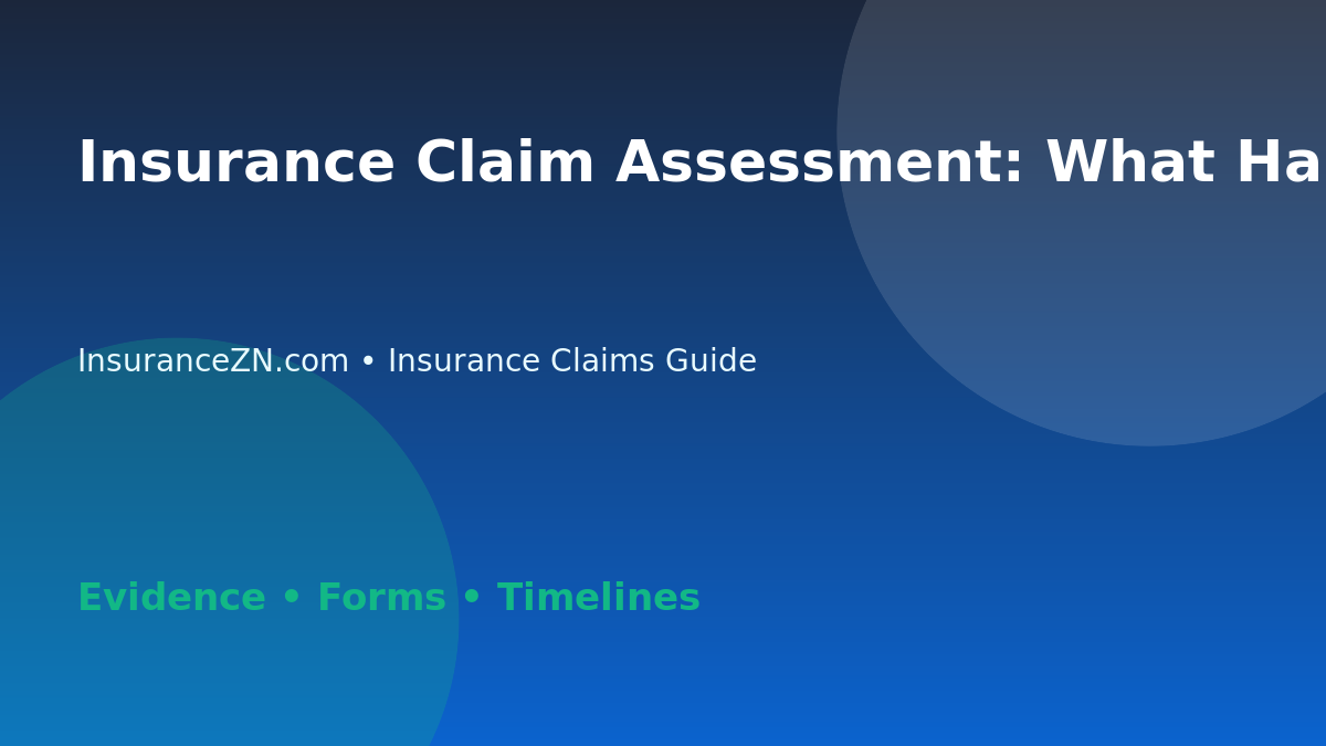 Insurance Claim Assessment: What Happens After You Lodge a Claim - Australian insurance claims guide